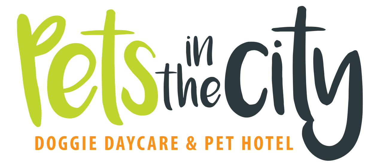 Pets In The City - Doggie Daycare & Pet Hotel