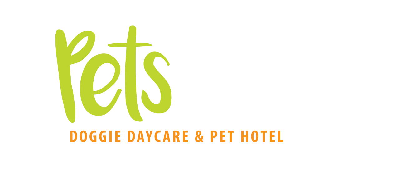 Pets In The City - Doggie Daycare & Pet Hotel